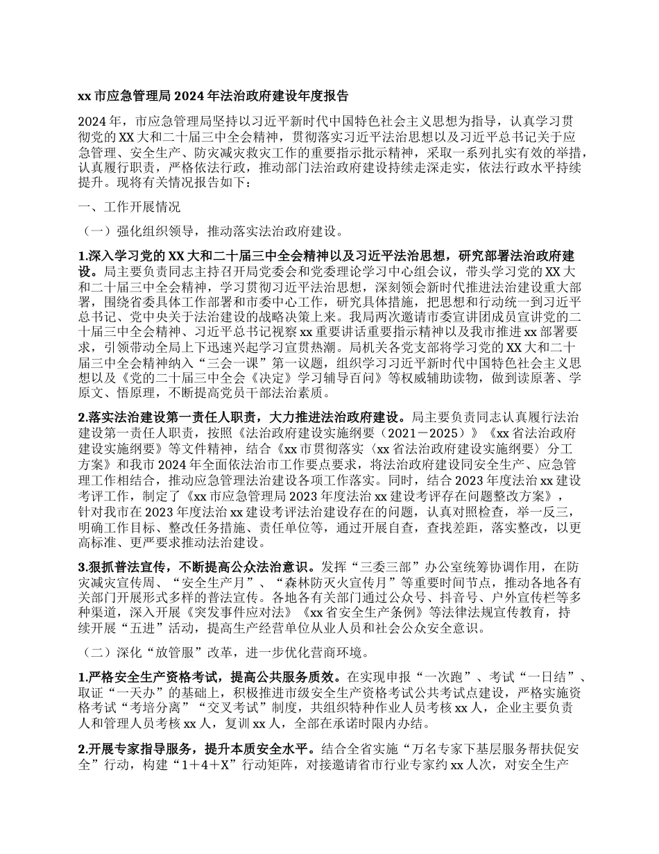 某某市应急管理局2024年法治政府建设年度报告.docx_第1页