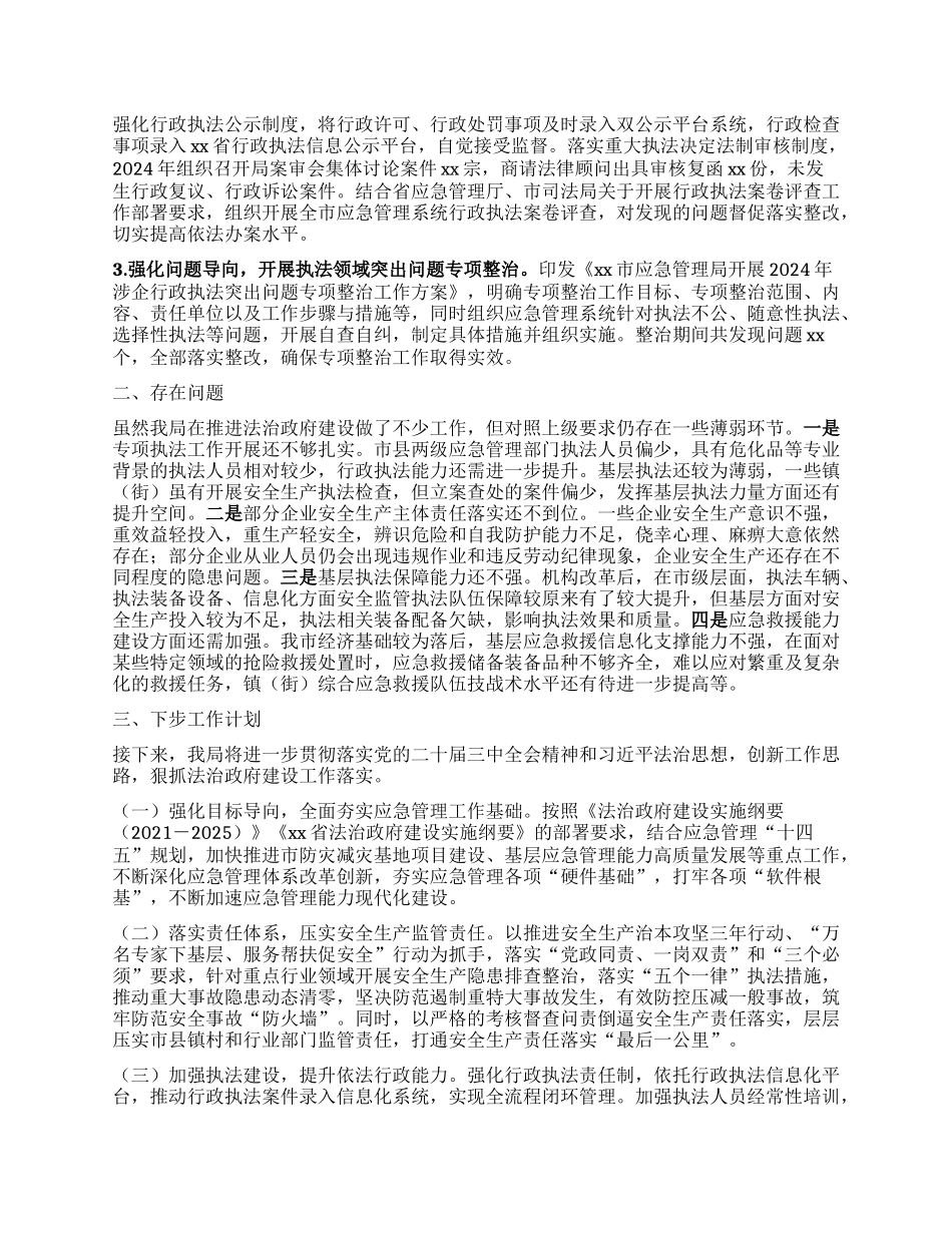 某某市应急管理局2024年法治政府建设年度报告.docx_第3页