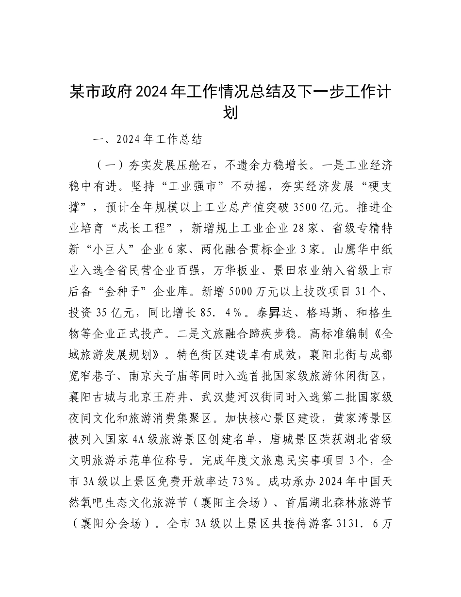 某市政府2024年工作情况总结及下一步工作计划.docx_第1页