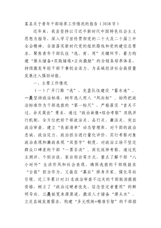 某县关于青年干部培养工作情况的报告（3038字）.docx