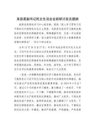 某县委副书记民主生活会会前研讨发言提纲.docx