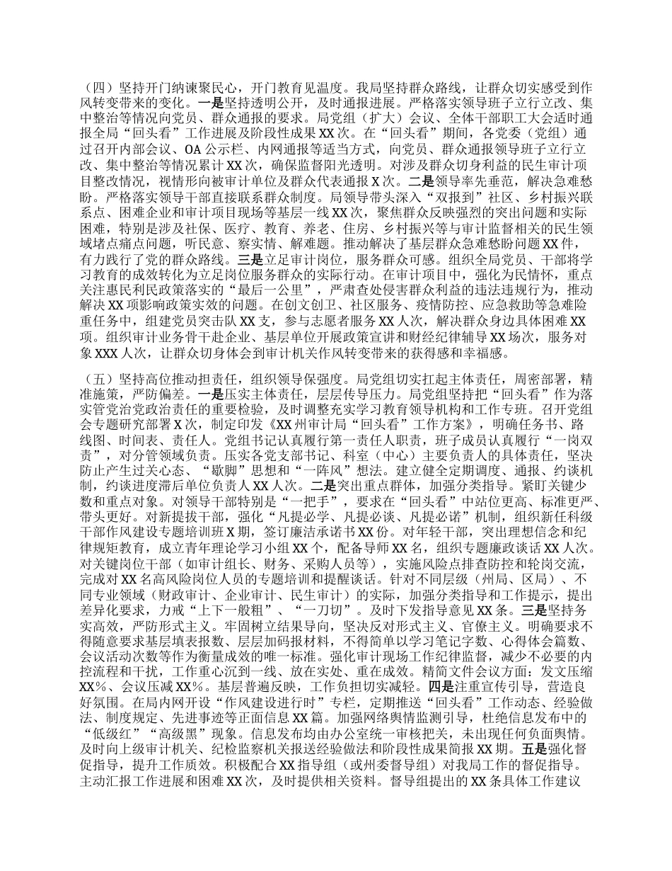 某州审计局深入贯彻中央BXGD精神学习教育“回头看”专题报告.docx_第3页