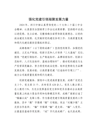 强化X建引领 凝聚发展力量.docx
