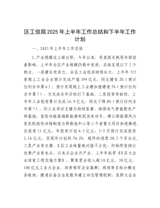 区工信局2025年上半年工作总结和下半年工作计划.docx