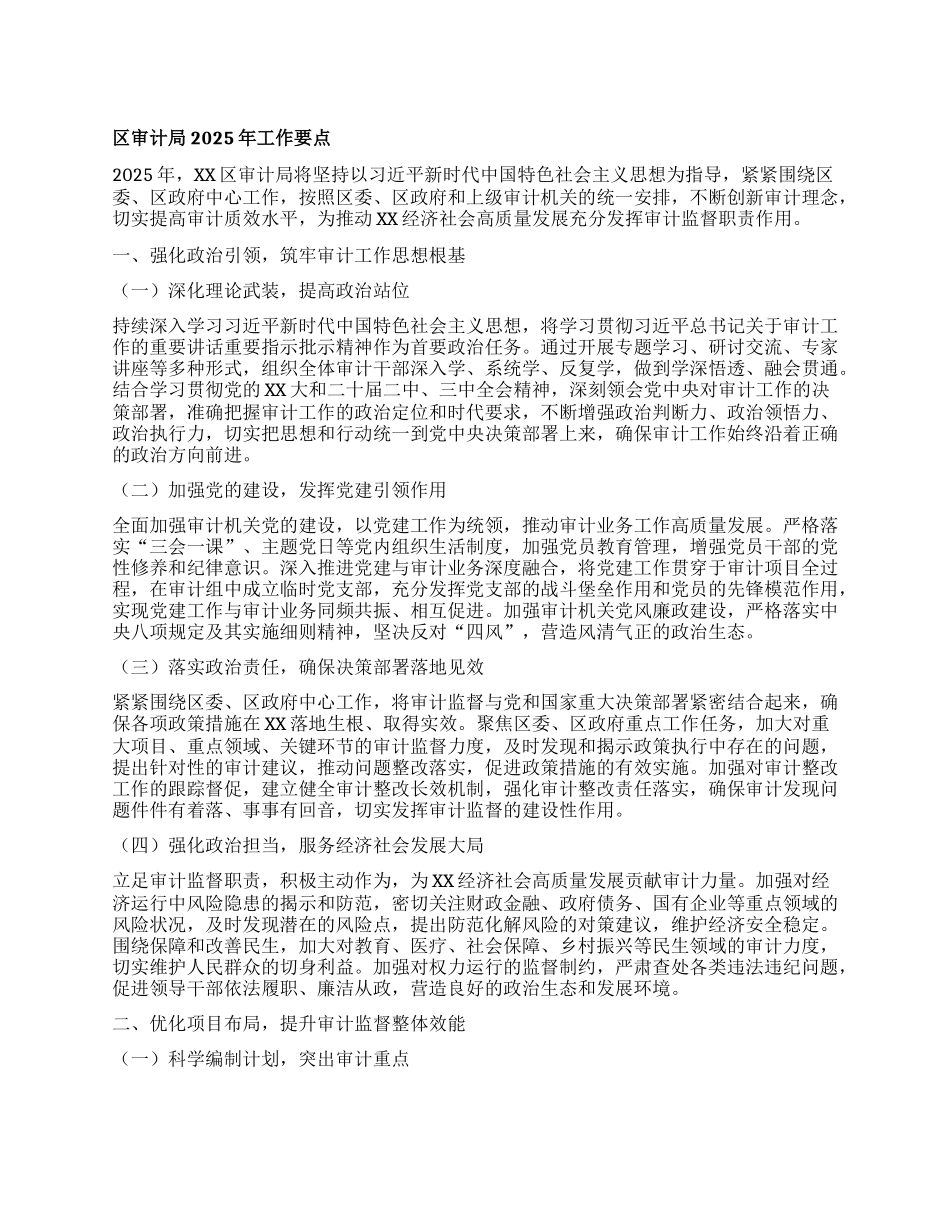 区审计局2025年工作要点.docx_第1页
