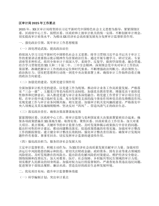 区审计局2025年工作要点.docx