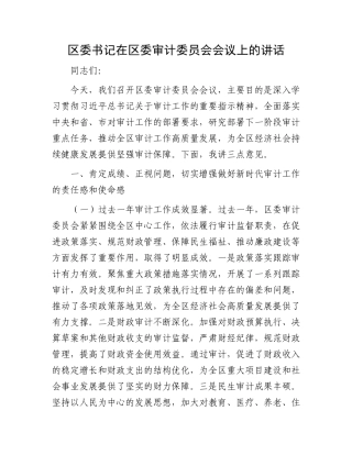 区委书记在区委审计委员会会议上的讲话.docx