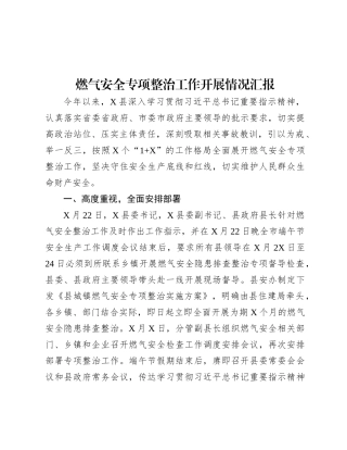 燃气安全专项整治工作开展情况汇报.docx
