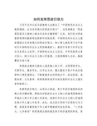 如何发挥思政引领力.docx