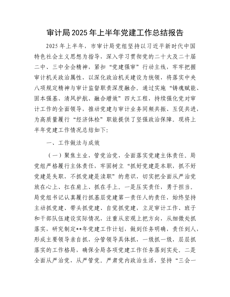 审计局2025年上半年X建工作总结报告.docx_第1页