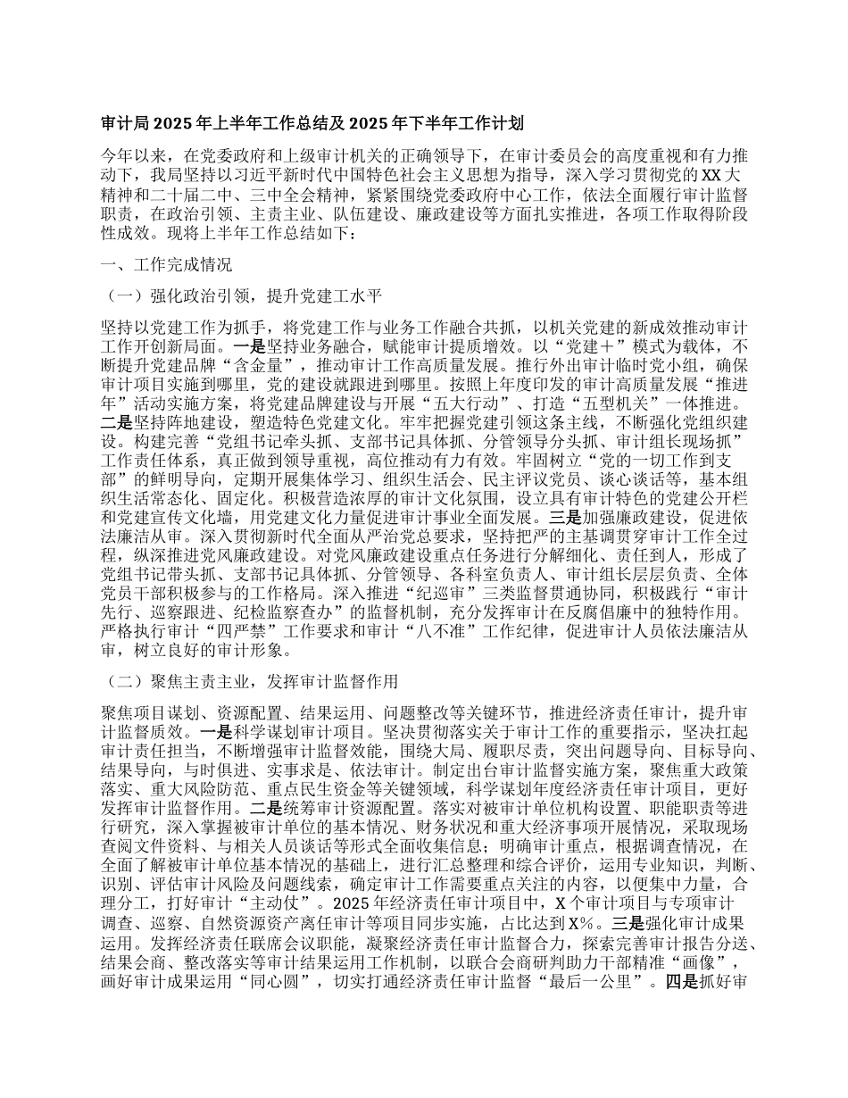 审计局2025年上半年工作总结及2025年下半年工作计划.docx_第1页