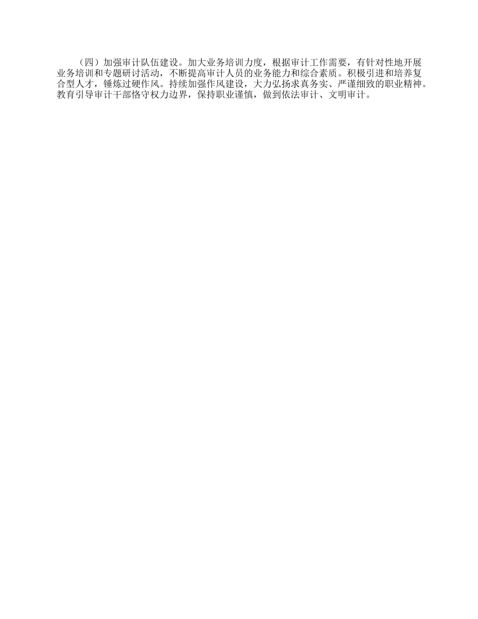审计局2025年上半年工作总结及2025年下半年工作计划.docx_第3页
