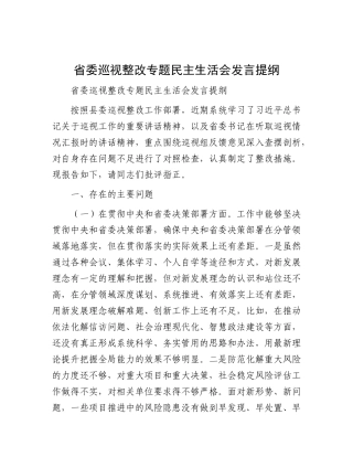 省委巡视整改专题民主生活会发言提纲.docx