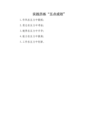 实践历练“五点成效”.docx