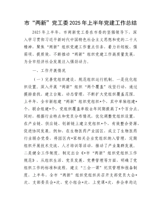 市“两新”X工委2025年上半年X建工作总结.docx