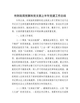 市财政局预算科X支部上半年X建工作总结.docx