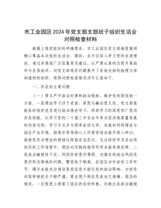 市工业园区2024年X支部支部班子组织生活会对照检查材料.docx