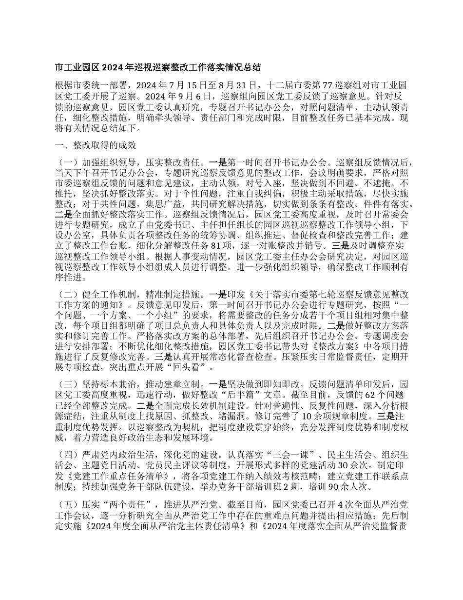 市工业园区2024年巡视巡察整改工作落实情况总结.docx_第1页