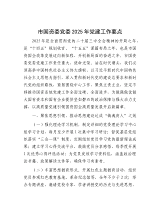 市国资委X委2025年X建工作要点.docx