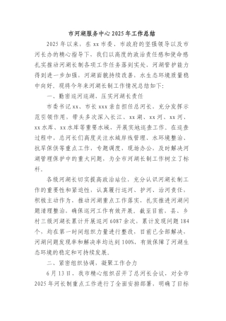 市河湖服务中心2025年工作总结.docx