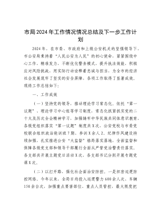 市局2024年工作情况情况总结及下一步工作计划.docx