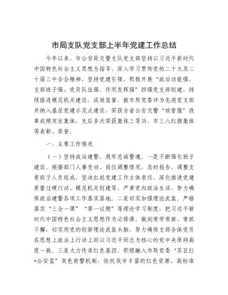 市局支队X支部上半年X建工作总结.docx