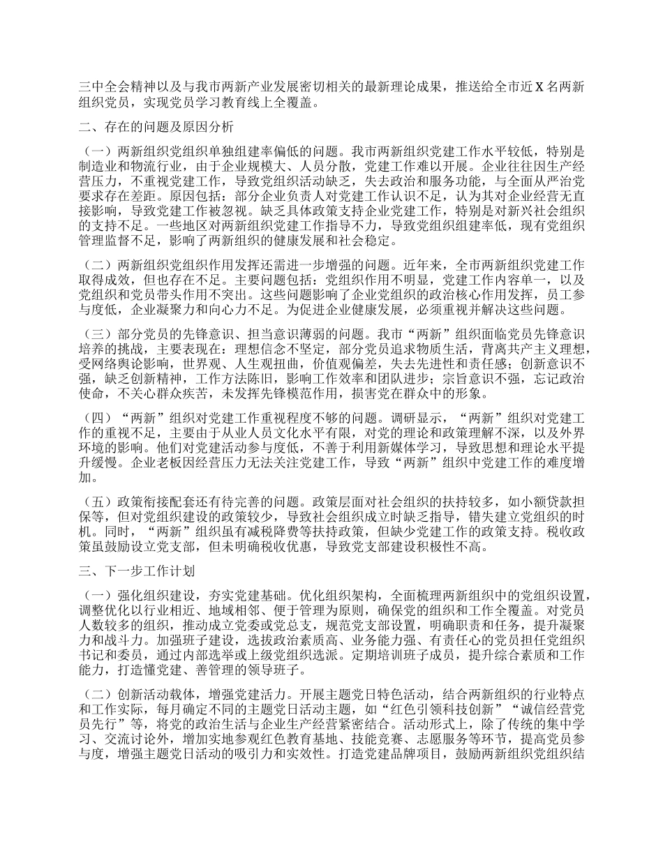 市两新X组织2024年X建工作情况总结及下一步工作计划.docx_第2页