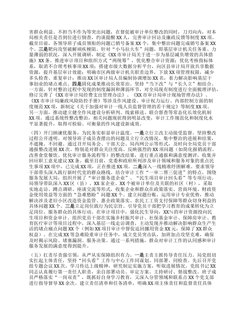 市审计局深入贯彻中央BXGD精神学习教育“回头看”情况报告 (2).docx_第3页