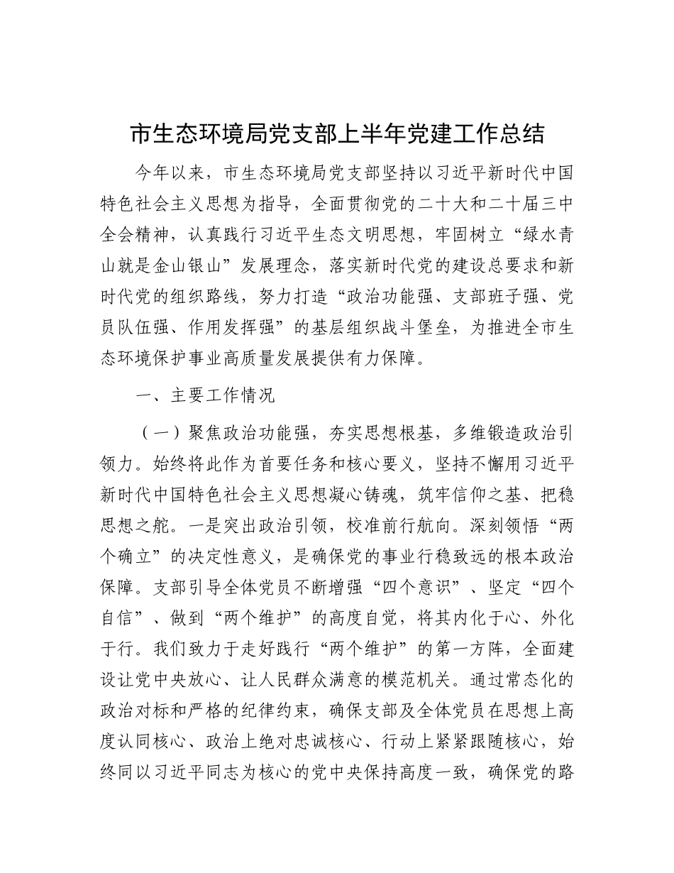 市生态环境局X支部上半年X建工作总结.docx_第1页