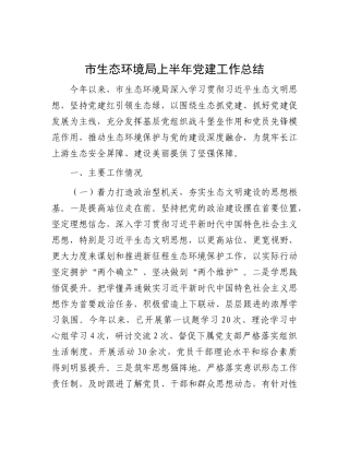 市生态环境局上半年X建工作总结.docx
