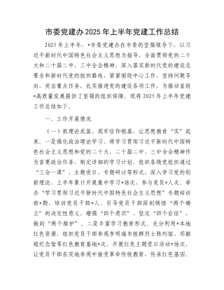 市委X建办2025年上半年X建工作总结.docx