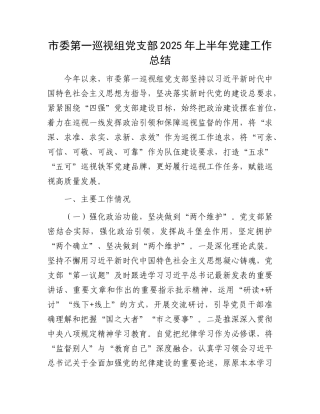 市委第一巡视组X支部2025年上半年X建工作总结.docx