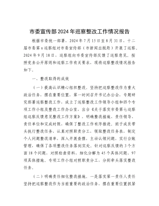 市委宣传部2024年巡察整改工作情况报告.docx