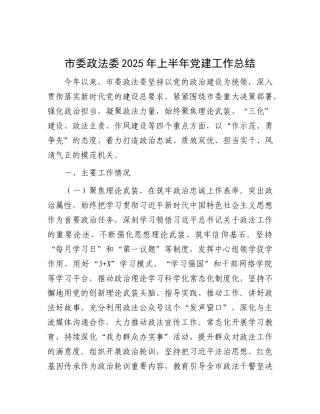 市委政法委2025年上半年X建工作总结.docx