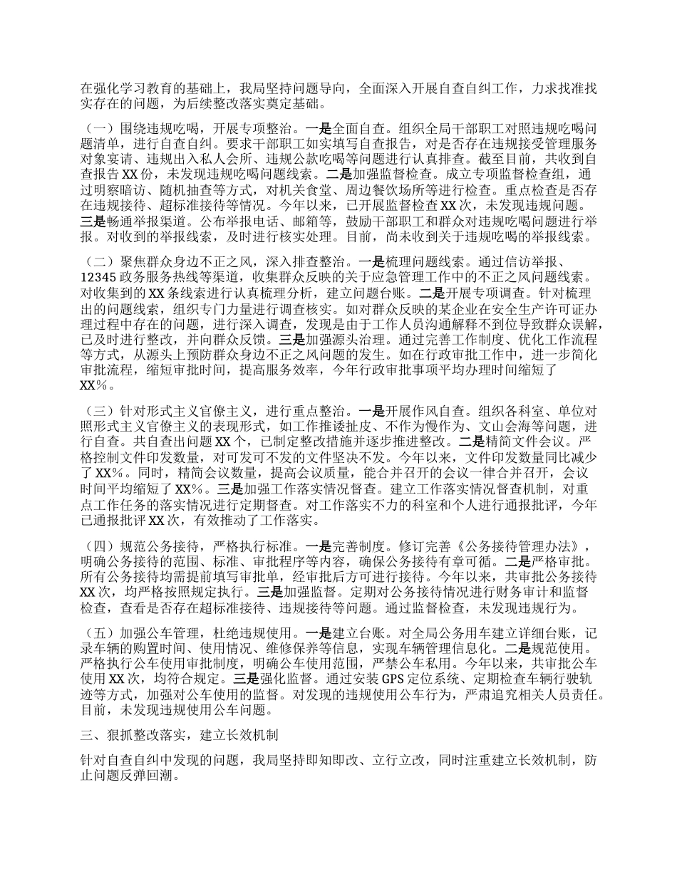 市应急管理局深入贯彻中央BXGD精神学习教育进展情况汇报.docx_第2页