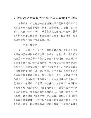 市政府办公室X组2025年上半年X建工作总结.docx