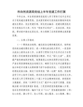 市自然资源局X组上半年X建工作打算.docx