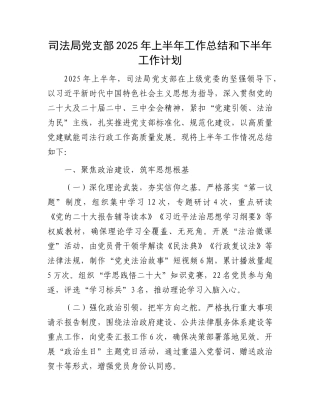 司法局X支部2025年上半年工作总结和下半年工作计划.docx