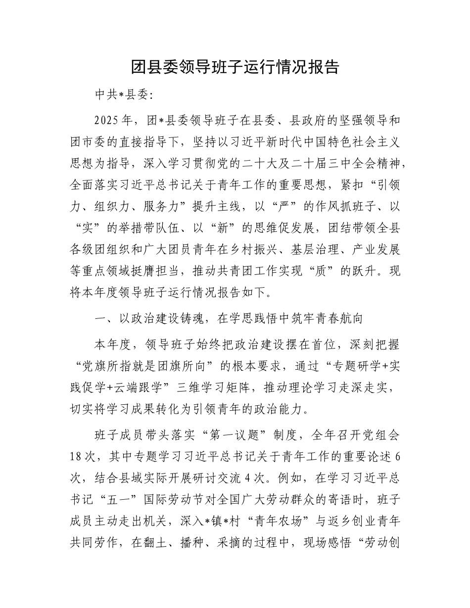 团县委领导班子运行情况报告.docx_第1页