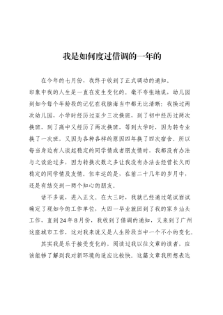 我是如何度过借调的一年的.docx