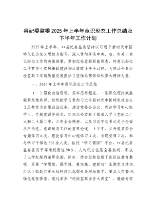 县纪委监委2025年上半年意识形态工作总结及下半年工作计划.docx