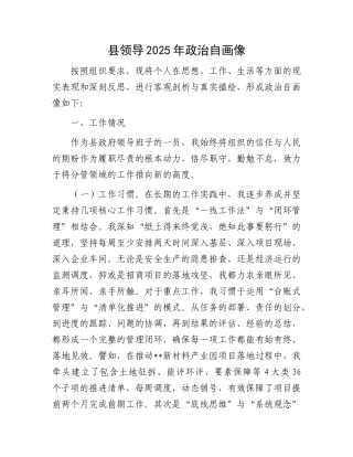县领导2025年ZZ自画像.docx