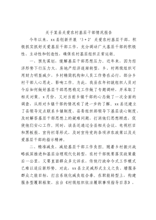 县区关爱农村基层干部情况报告.docx