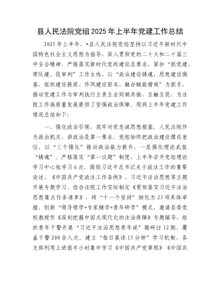 县人民法院X组2025年上半年X建工作总结.docx