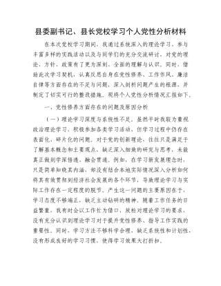 县委副书记、县长X校学习个人X性分析材料.docx