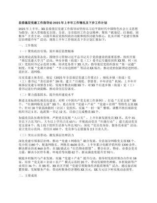 县委基层X建工作指导站2025年上半年工作情况及下步工作计划.docx