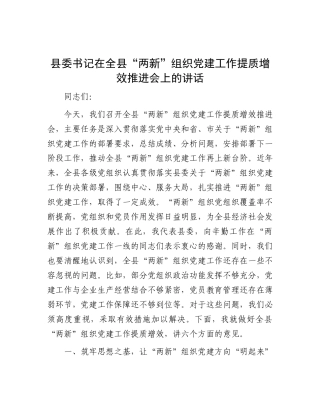 县委书记在全县“两新”组织X建工作提质增效推进会上的讲话.docx