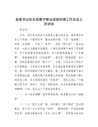 县委书记在全县集中整治违规吃喝工作会议上的讲话.docx
