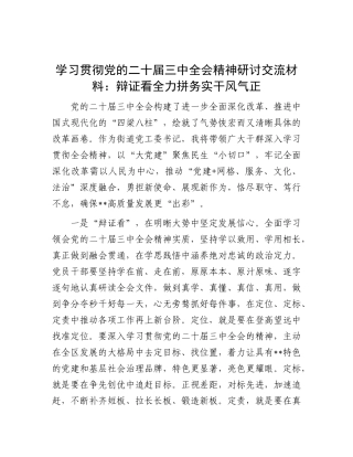 学习贯彻X的二十届三中全会精神研讨交流材料：辩证看 全力拼 务实干 风气正.docx
