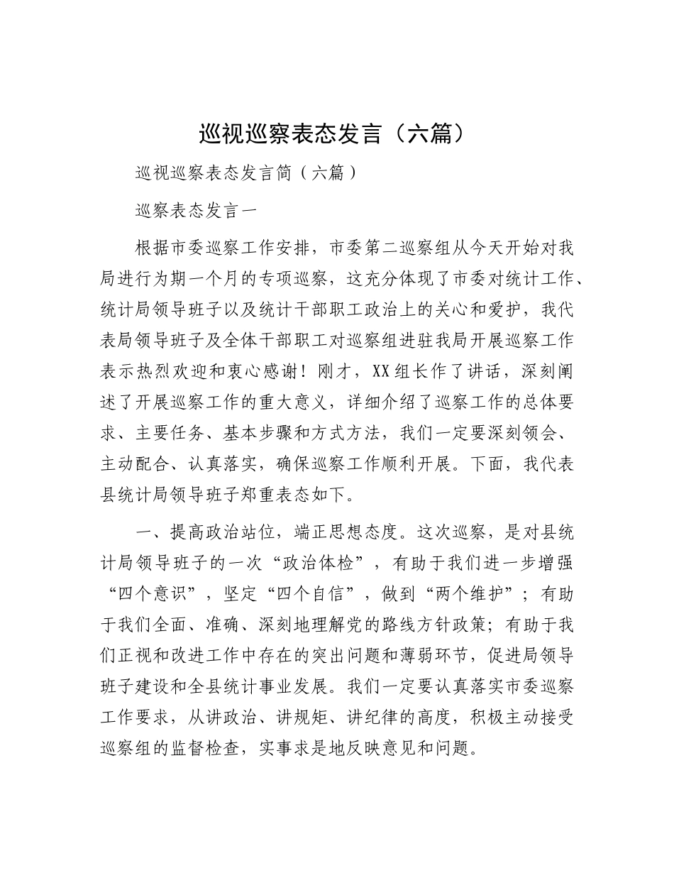 巡视巡察表态发言（六篇）.docx_第1页